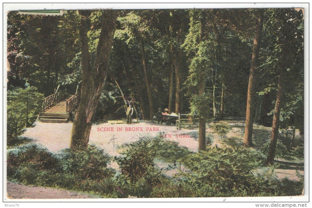 Scene In Bronx Park, New York - 1910 - Bronx