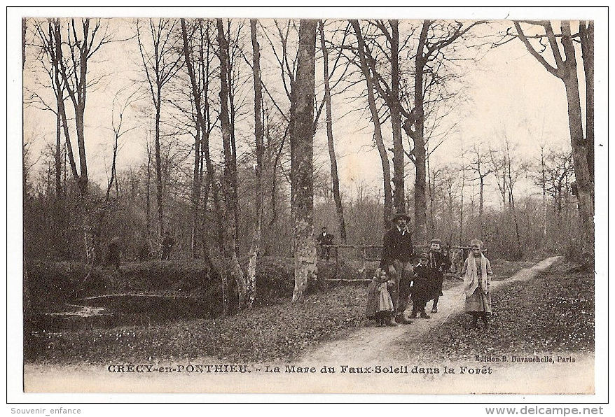 CPA Crecy En Ponthieu 80 Somme La Mare Du Faux Soleil Dans La Forêt - Crecy En Ponthieu