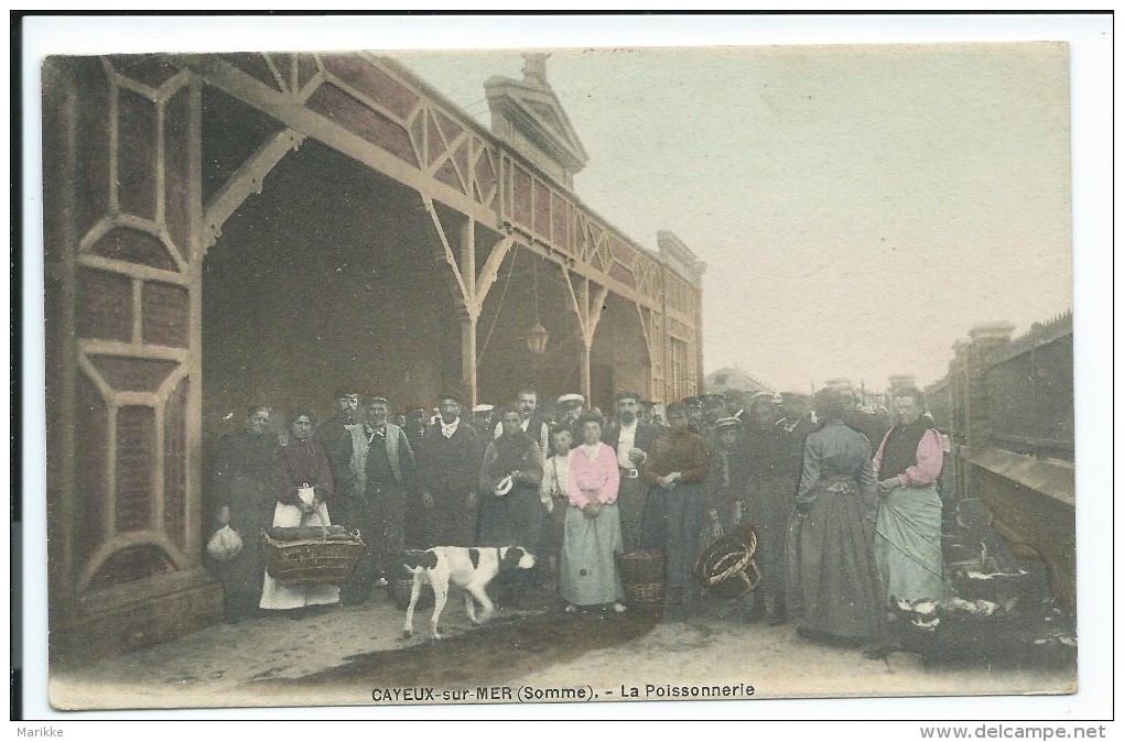 Cayeux Sur Mer -80- La Poissonnerie, Légèrement Colorisée, Très Animée, Chien, 1907, Bel état Voir Les Deux Photos # - Cayeux Sur Mer