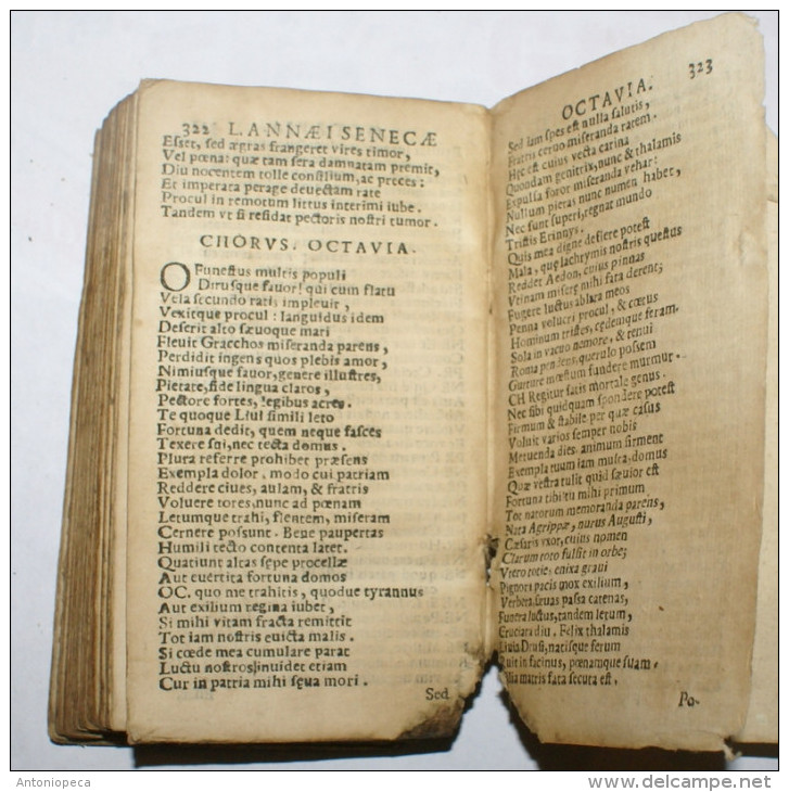 ITALIA 1677 - "SENECAE TRAGEDIAE" L. ANNAEI - Libri Vecchi E Da Collezione