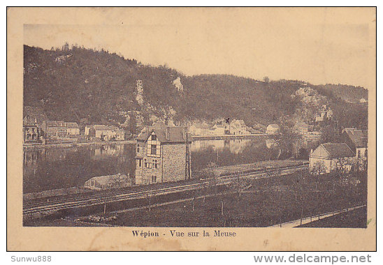 Wépion - Vue Sur La Meuse (Edit J. Crémers) - Namur