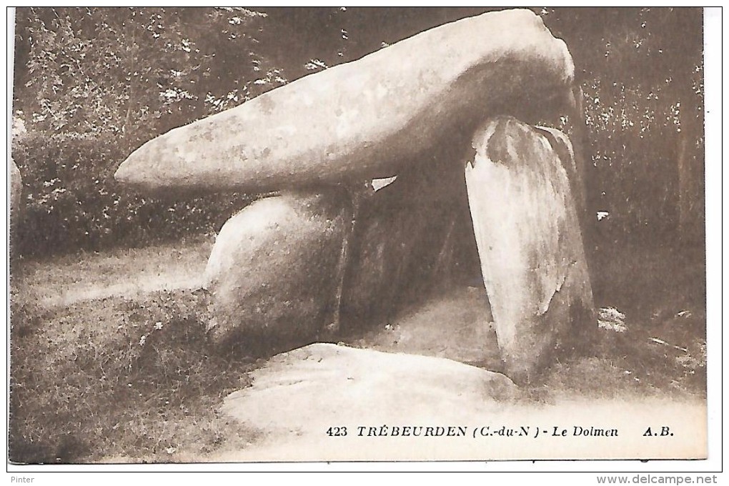DOLMEN - TREBEURDEN - Dolmen & Menhirs