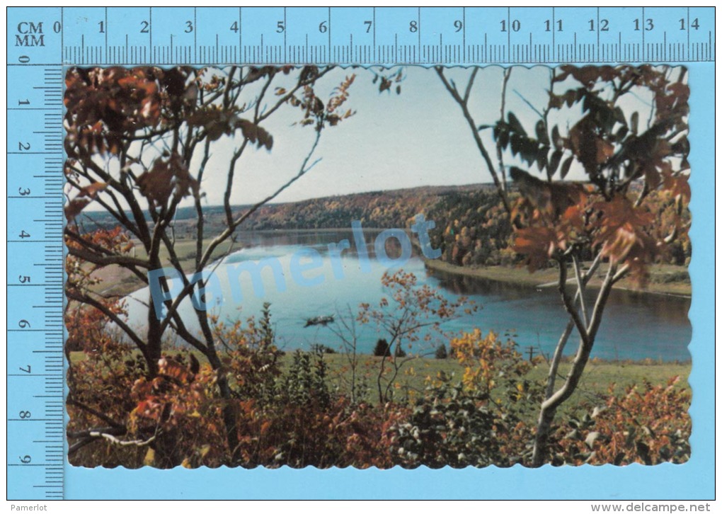 Fredericton New Brunswick ( Saint-John River ) Carte Postale Postcard ,2 Scans - Fredericton