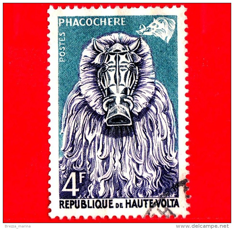 ALTO VOLTA - Usato - 1960 - Arte Tribale Dell'etnia Bobo - Maschere Di Animali - Warthog - 4 - Upper Volta (1958-1984)