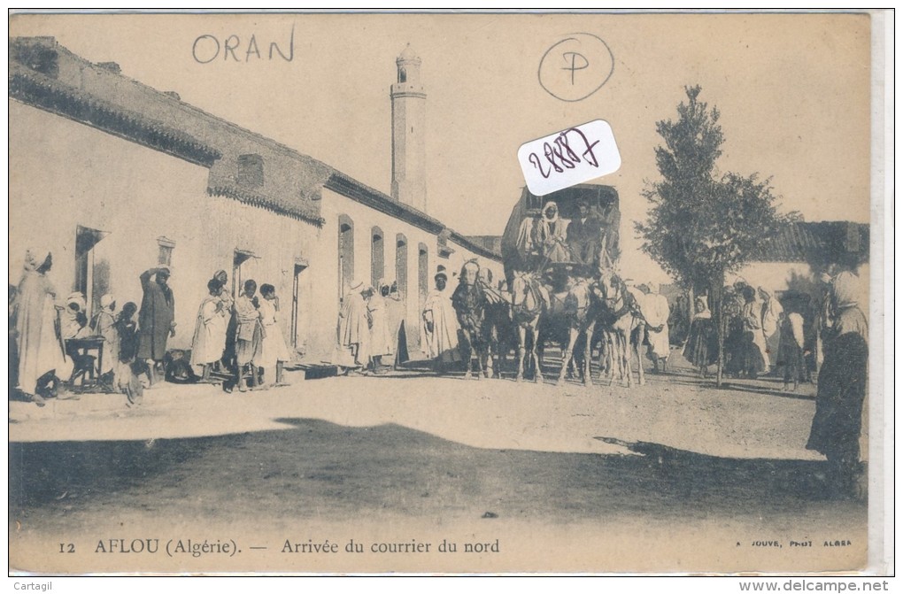 CPA - 28887- Algérie - Aflou ( Oran)  - Arrivée Du Courrier Du Nord - Autres & Non Classés