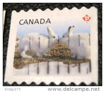 Canada 2011 Snow Hare Lepus Arcticus P - Used - Used Stamps