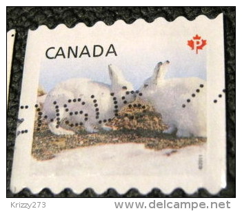 Canada 2011 Snow Hare Lepus Arcticus P - Used - Gebruikt