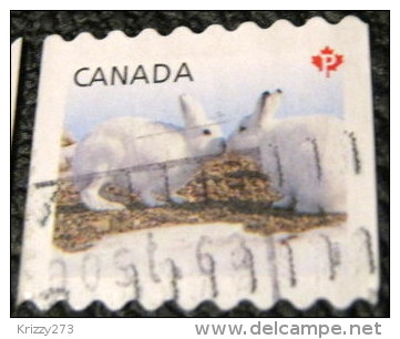 Canada 2011 Snow Hare Lepus Arcticus P - Used - Gebruikt