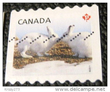 Canada 2011 Snow Hare Lepus Arcticus P - Used - Gebruikt