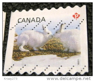 Canada 2011 Snow Hare Lepus Arcticus P - Used - Used Stamps