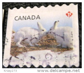 Canada 2011 Snow Hare Lepus Arcticus P - Used - Used Stamps