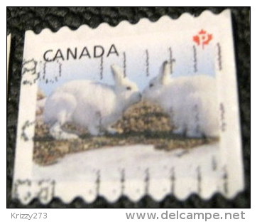 Canada 2011 Snow Hare Lepus Arcticus P - Used - Gebruikt