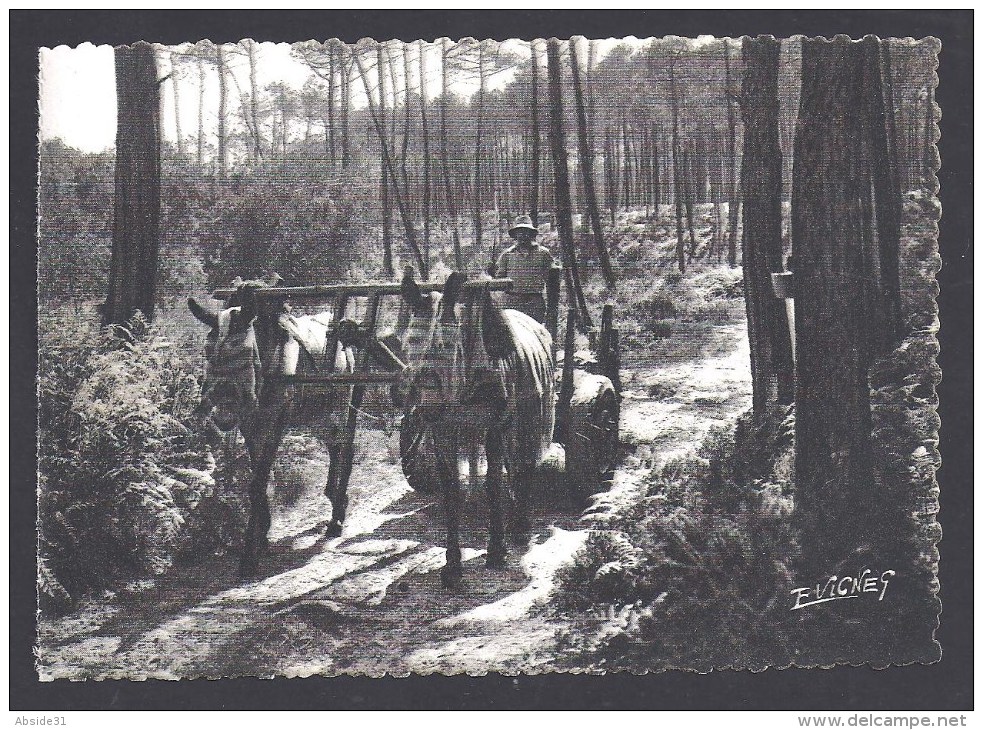 LANDES - Lot De 7 Cartes - Format 150 X 105 Mm - Autres & Non Classés