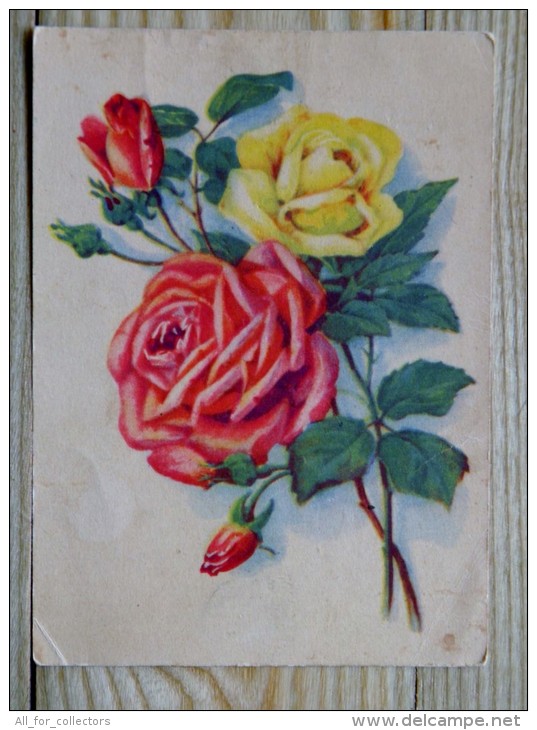 Postal Stationery Card From Ussr 1955 Flowers Roses - 1950-59