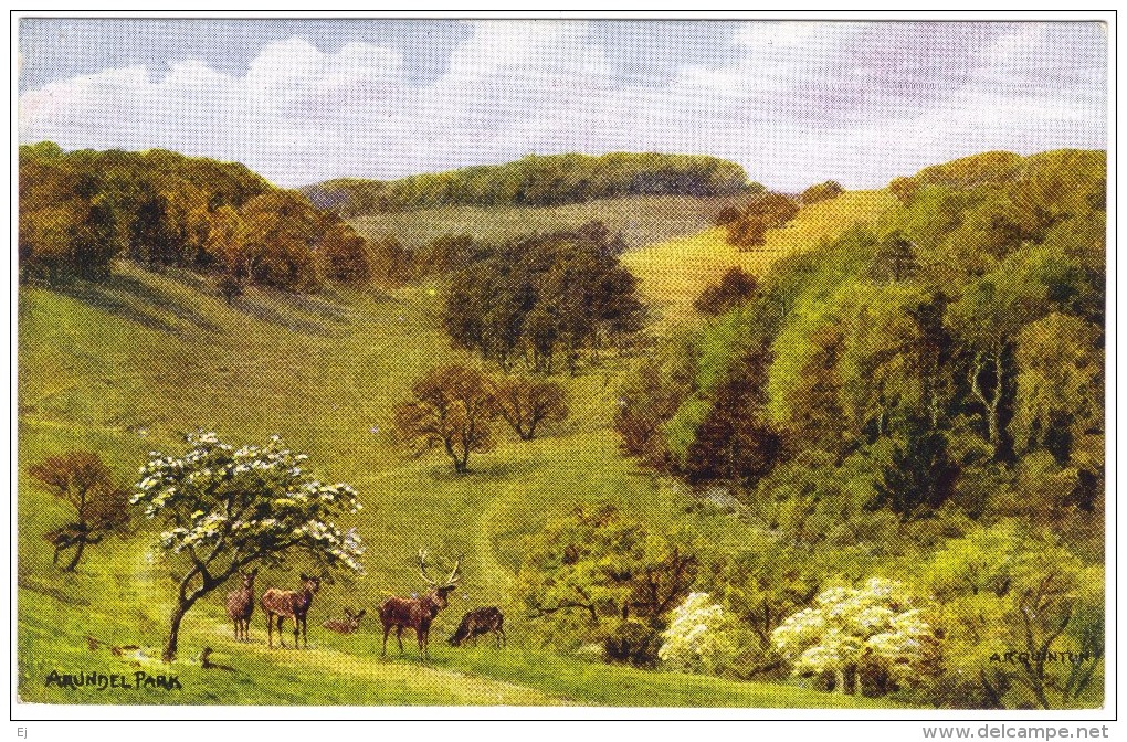 Arundel Park By A R Quinton Colour Postcard - Salmon No 2049 (early - No Leaping Salmon) - Quinton, AR