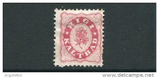SWITZERLAND HOTEL LOCAL POST RIGI KALTBAD 1864 PERF - Unused Stamps
