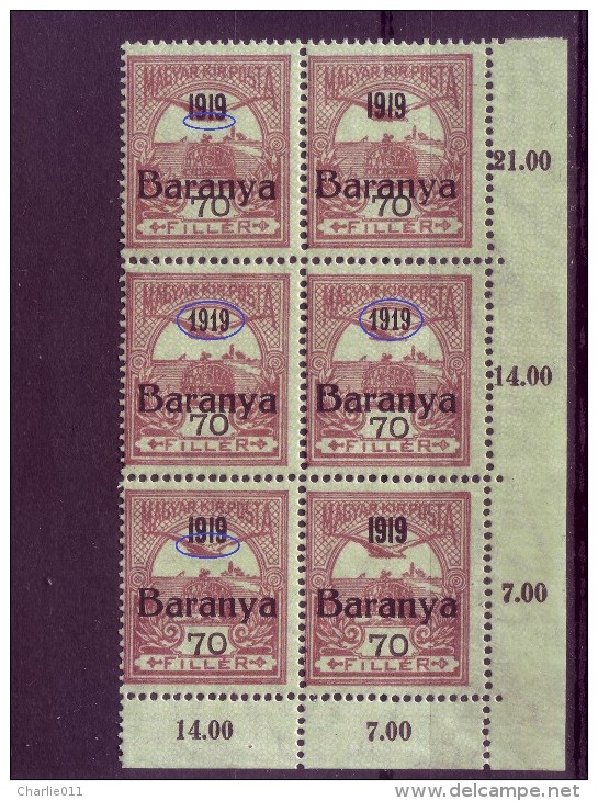 TURUL-70 FIL-OVERPRINT-BARANYA --1919-BLOCK OF SIX-ERROR-RARE-YUGOSLAVIA-SERBIA-HUNGARY-1919 - Baranya