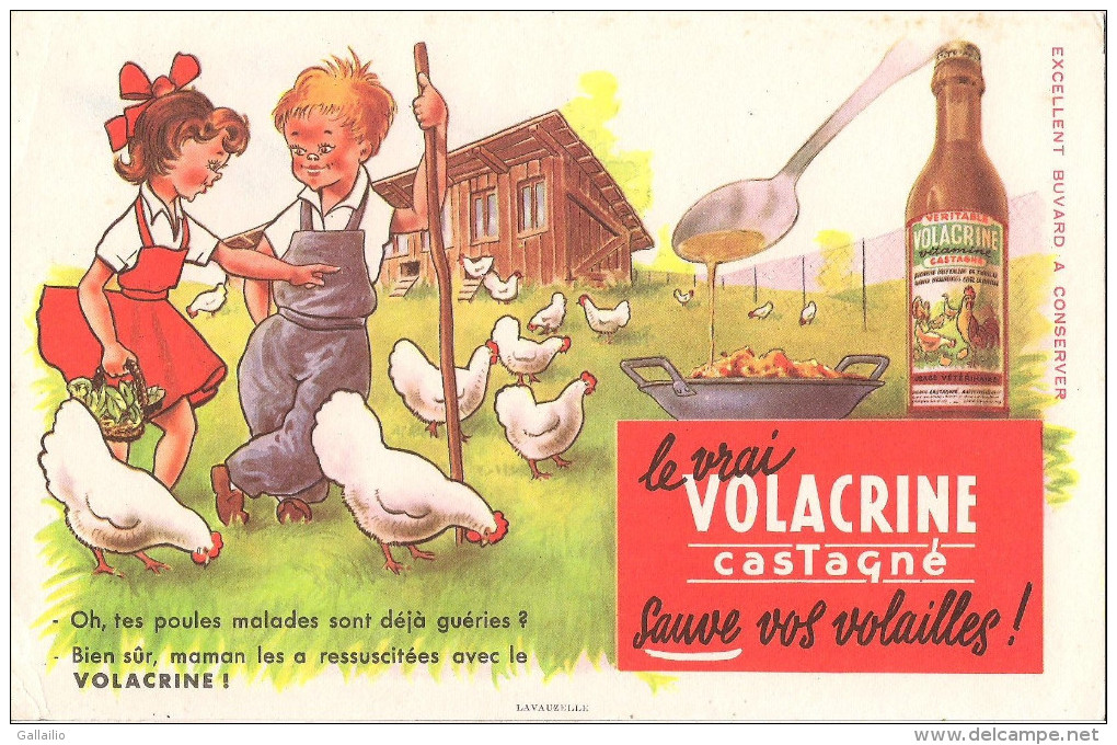 BUVARD LE VRAI VOLACRINE CASTAGNE SAUVE VOS VOLAILLES - Farm