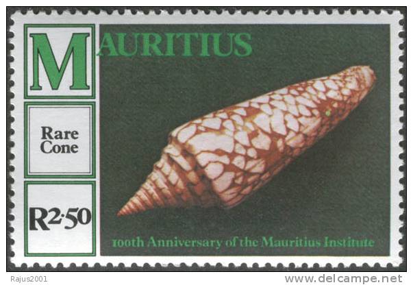 Rare Cone, Seashell / Sea Shell, Marinelife, Scott 509, MNH 1980, Mauritius - Coquillages