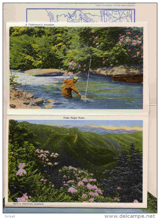 Great Smoky Mountains-carte Postale- Indien Cherokee-ours+  Dépliant18  Photos Couleurs-années 30 - Autres & Non Classés