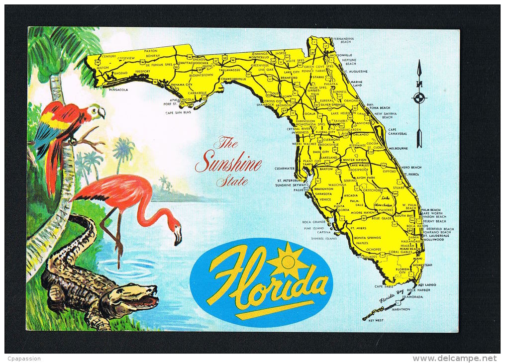 U.S.A. FLORIDA  - Postcard Map - Carte Géographique - SCANS  RECTO VERSO - Autres & Non Classés