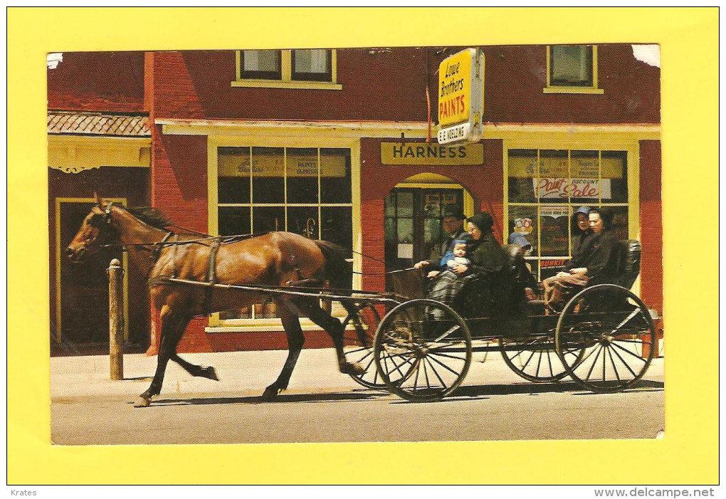 Postcard - Canada, Kitchener, Mennonite Family      (19986) - Kitchener