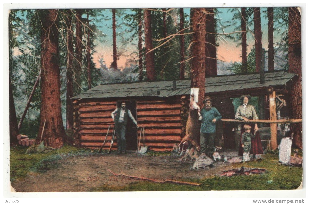 The Forest Ranger's Cabin - USA National Parks