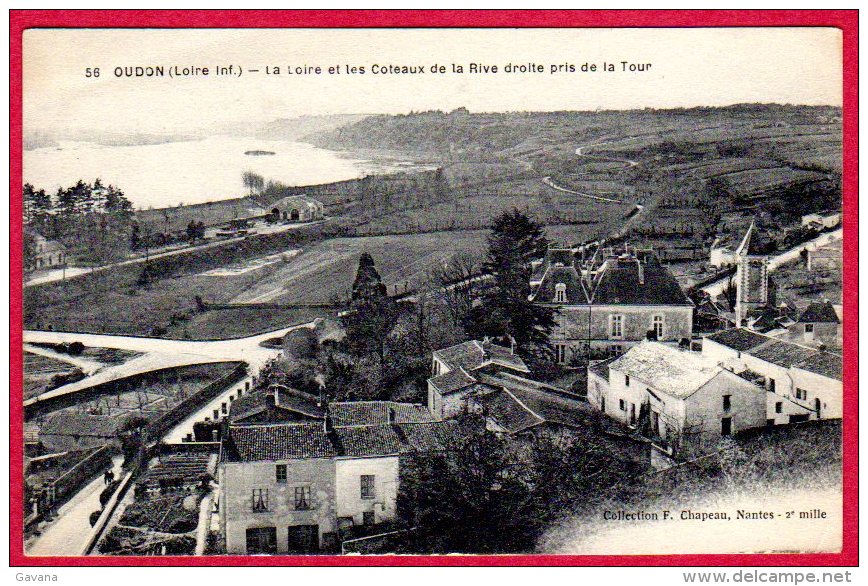 44 OUDON - La Loire Et Les Coteaux De La Rive Droite Pris De La Tour - Andere & Zonder Classificatie