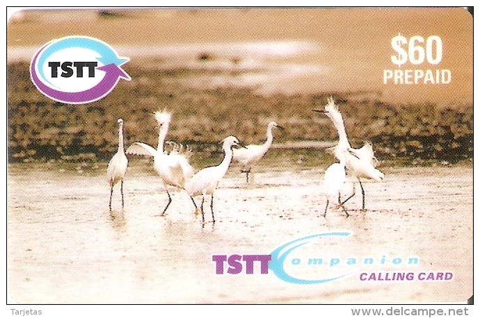 TARJETA DE TRINIDAD Y TOBAGO  DE UNAS GARZAS BLANCAS   (BIRD-PAJARO) - Trinité & Tobago