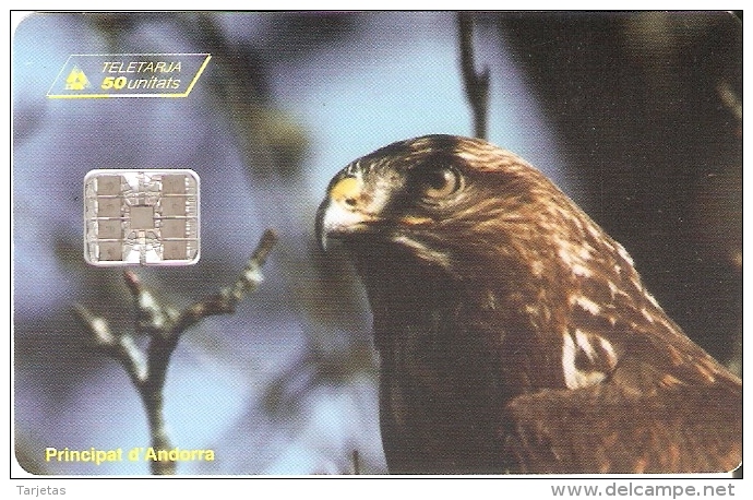 TARJETA DE ANDORRA DE UN AGUILA (EAGLE) - Eagles & Birds Of Prey