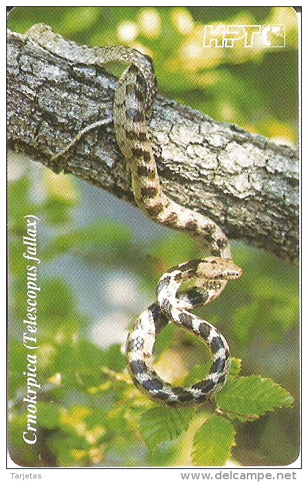 TARJETA DE CROACIA DE UNA SERPIENTE (SNAKE) - Kroatië