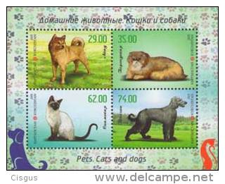 Kirgistan 2015 MNH** Mi. Nr. 827-830 Bl. 74 A Cats And Dogs - Kyrgyzstan