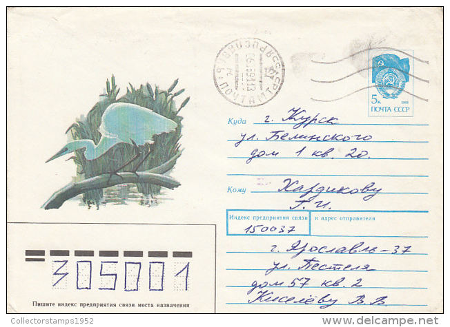 22451- BIRDS, HERON, COVER STATIONERY, 1991, RUSSIA - Pélicans