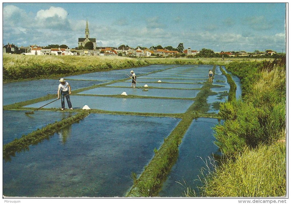 SALINS à BOURGNEUF EN RETZ - Bourgneuf-en-Retz