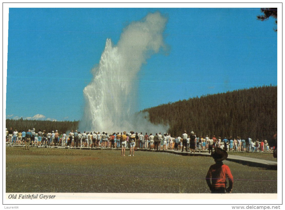 (999) USA - Yellowstone Natianl Park - Old Faithful Geyser - Yellowstone