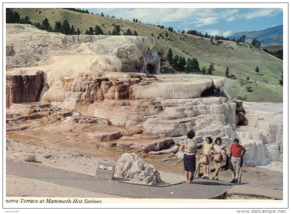 (999) USA - Yellowstone National Park - Minerva Terraces - Yellowstone
