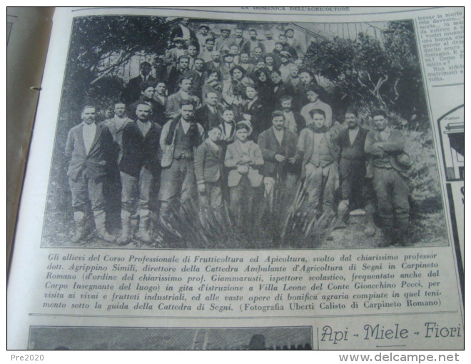 DOMENICA DELL’AGRICOLTORE 1928 NEMI EPISCOPIA POTENZA CHIOGGIA SASSARI CARPINETO ROMANO - Altri & Non Classificati