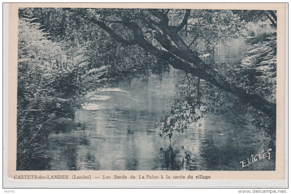 CASTETS DES LANDES - Bords De La Palue à La Sortie Du Village - Castets