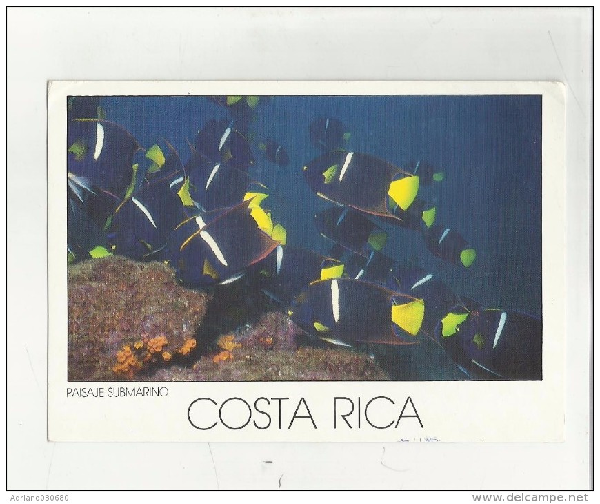 90943 COSTA RICA - Costa Rica