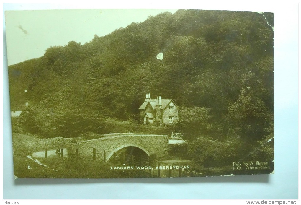 Lasgarn  Wood, Abersychan - Monmouthshire