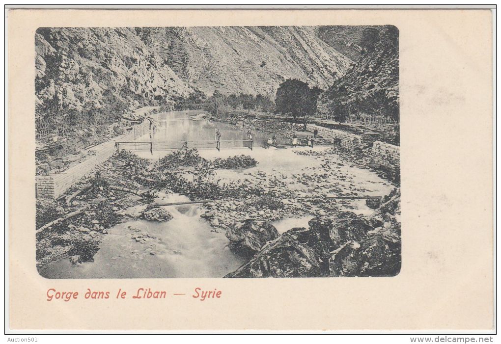 25422g SYRIE - Gorge Dan Le Liban - Syrie