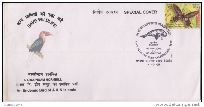 India  2008  Birds  Norcondam Hornbill  Dpolphin Cancellation  PORT BLAIR  Special Cover # 84965  Inde  Indien - Colibris