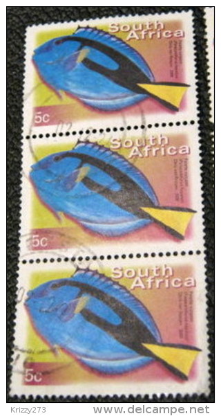 South Africa 2000 Paracanthurus Hepatus Fish 5c X3 - Used - Usados