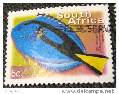 South Africa 2000 Paracanthurus Hepatus Fish 5c - Used - Oblitérés