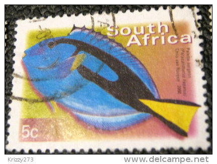 South Africa 2000 Paracanthurus Hepatus Fish 5c - Used - Usados