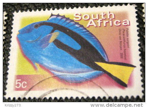 South Africa 2000 Paracanthurus Hepatus Fish 5c - Used - Oblitérés