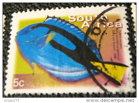 South Africa 2000 Paracanthurus Hepatus Fish 5c - Used - Used Stamps