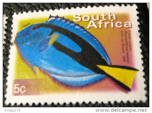 South Africa 2000 Paracanthurus Hepatus Fish 5c - Used - Oblitérés