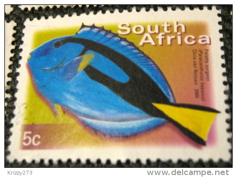 South Africa 2000 Paracanthurus Hepatus Fish 5c - Used - Oblitérés