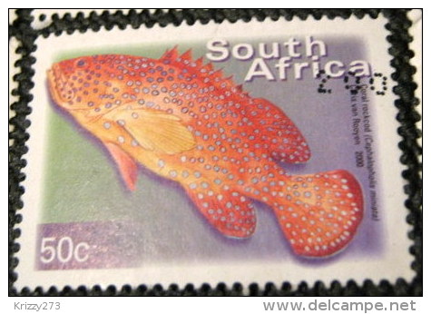 South Africa 2000 Cephalopholis Miniatus Fish 50c - Used - Used Stamps